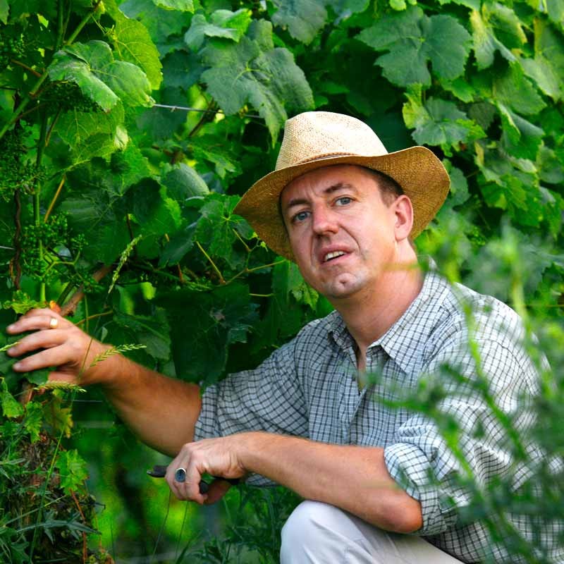 Harald Wörner Vitaler Genuss